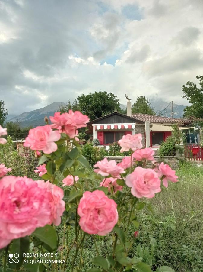 1957 To Rodo Kai To Roido Farm stay *