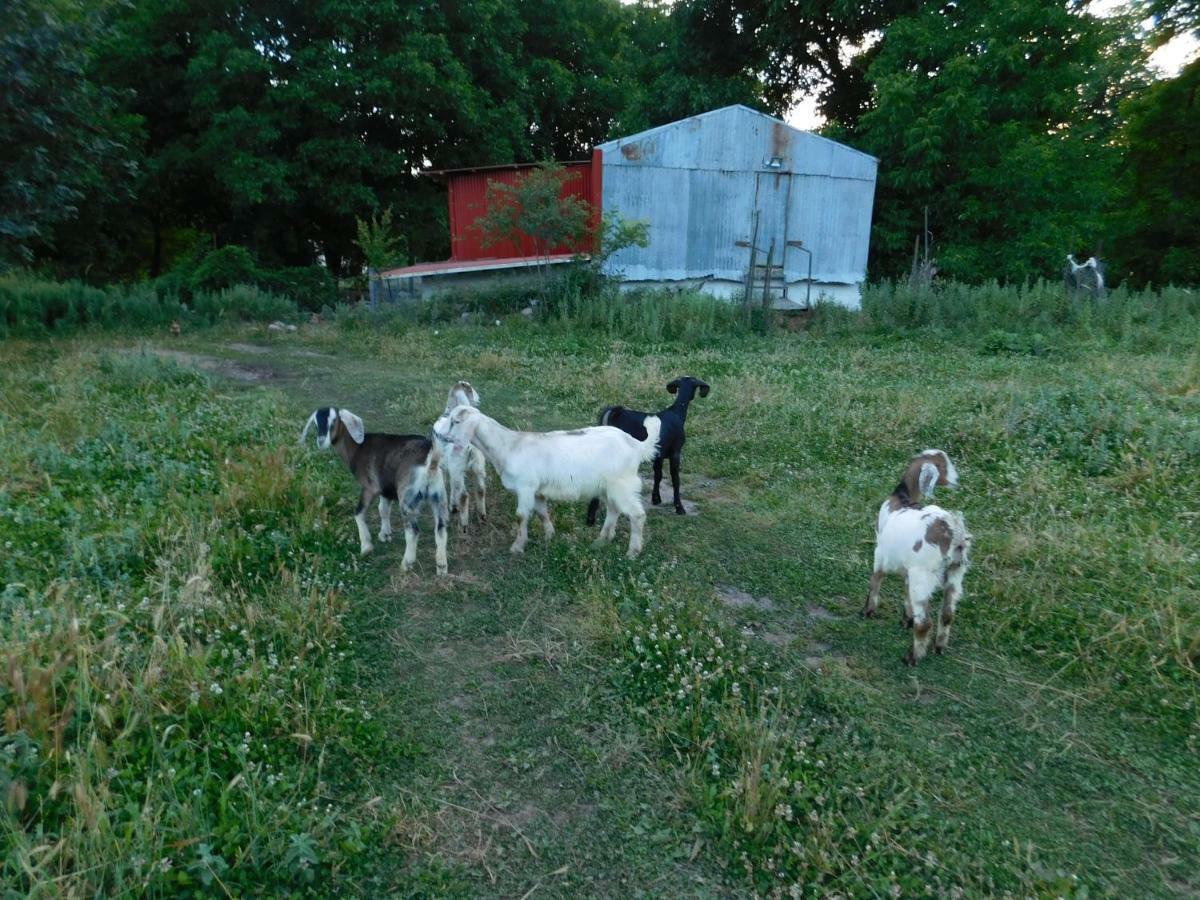 1957 To Rodo Kai To Roido Farm stay *